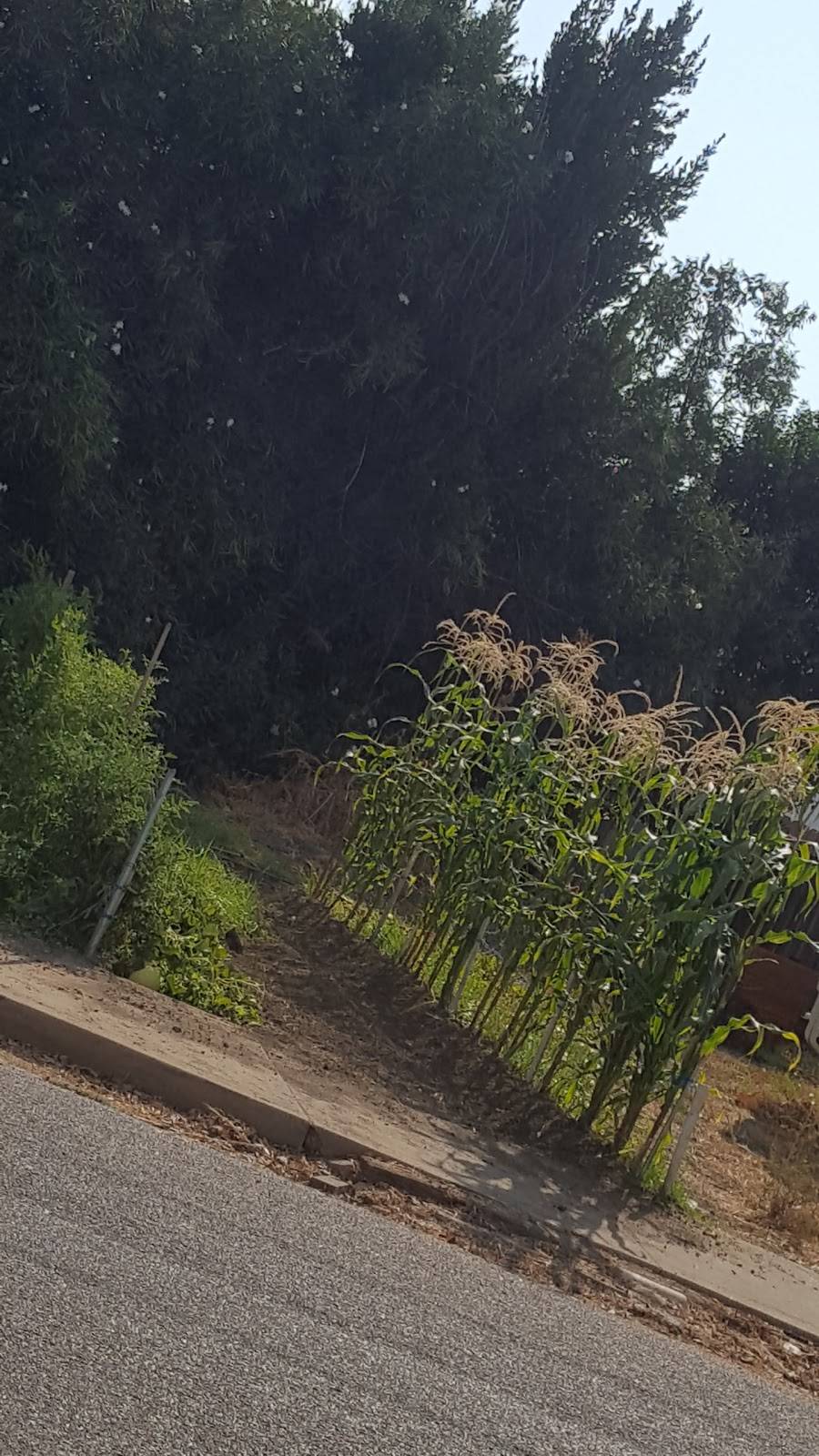 Shell | restaurant | 9920 Co Rd 99W, Zamora, CA 95698, USA | 5306625551 OR +1 530-662-5551