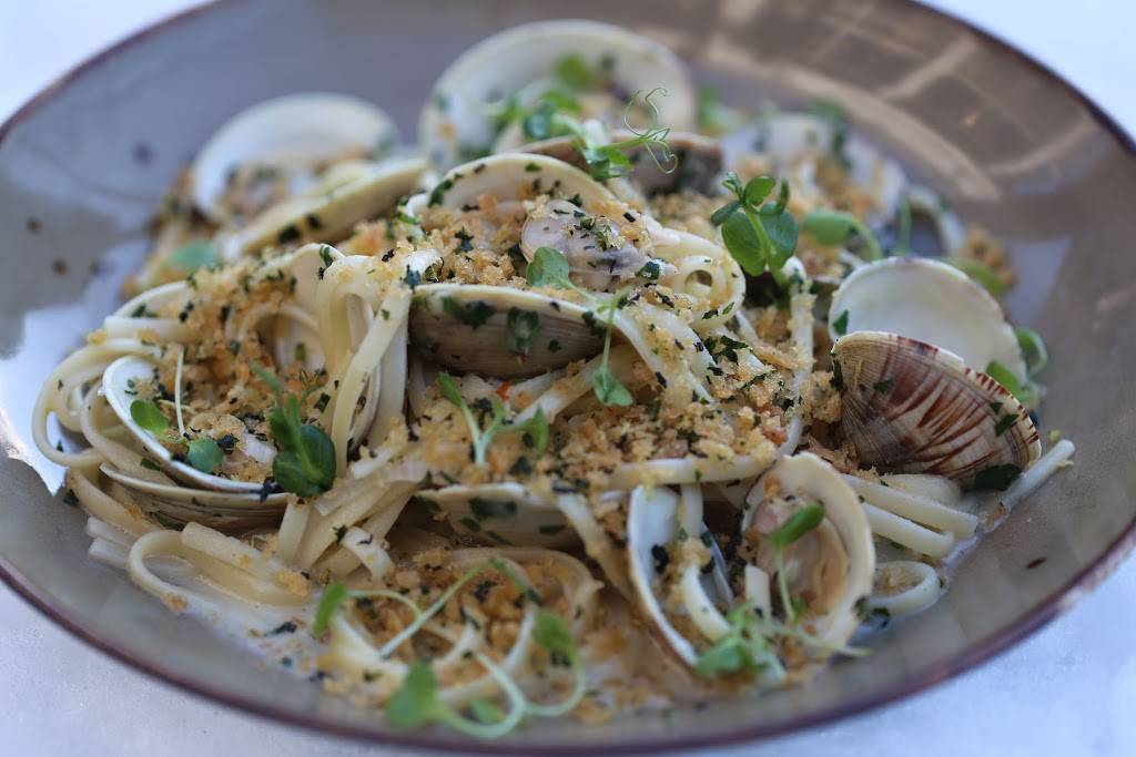 Terra & Vine | restaurant | 1701 Maple Ave, Evanston, IL 60201, USA | 8475634333 OR +1 847-563-4333