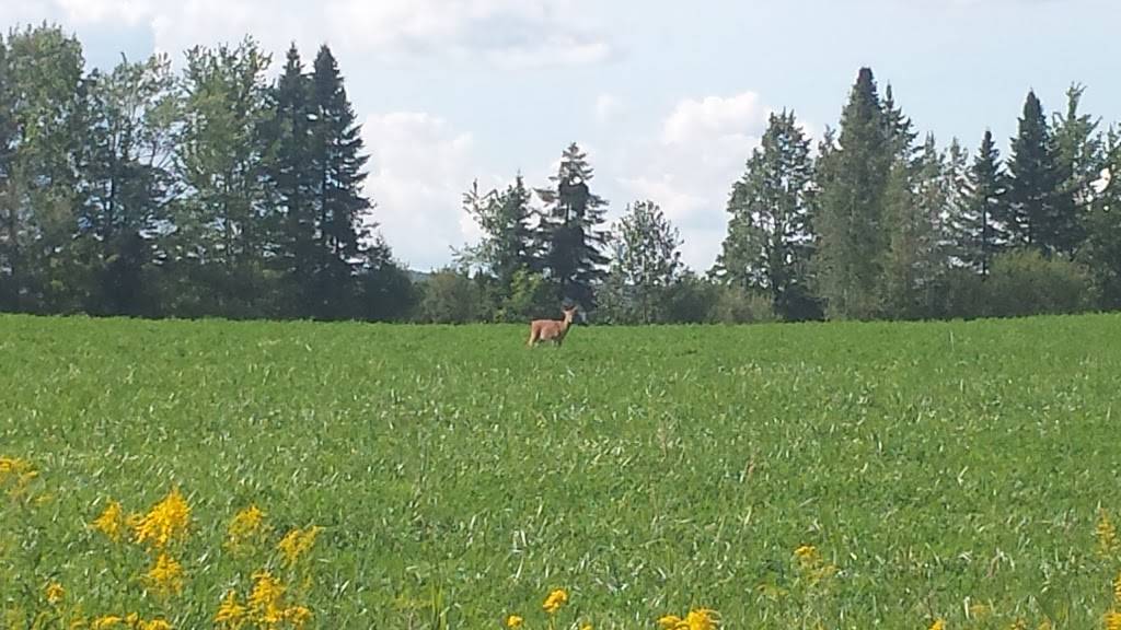 Dufferin Heights Golf Club | restaurant | 4115 QC-143, Stanstead, QC J0B 3E0, Canada | 8198762113 OR +1 819-876-2113