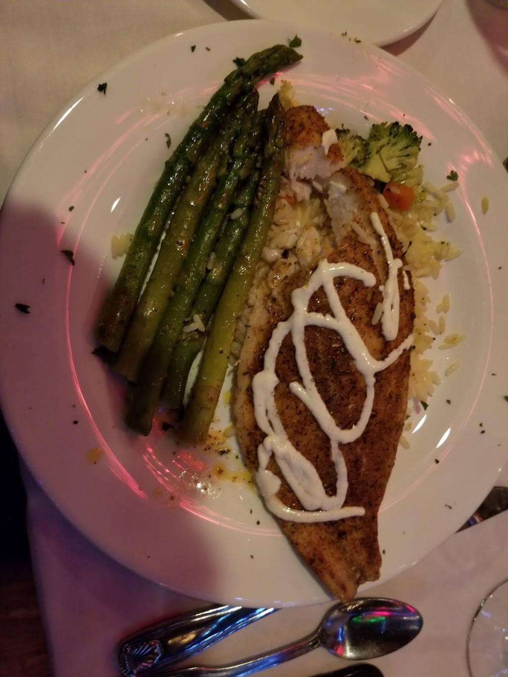 StarLite Majesty | restaurant | 25 Causeway Blvd Slip, Clearwater, FL 33767, USA | 7274622628 OR +1 727-462-2628