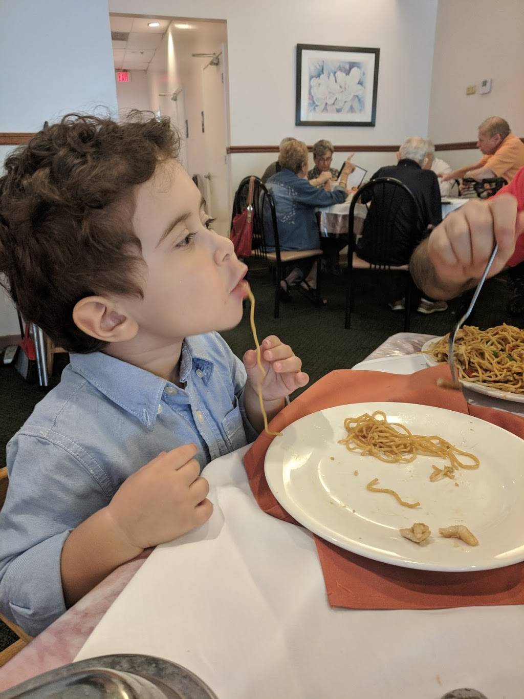 China Lane Restaurant | restaurant | 6619 W Boynton Beach Blvd, Boynton Beach, FL 33437, USA | 5617375539 OR +1 561-737-5539