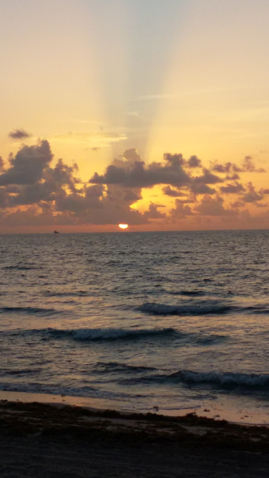 Starbucks | cafe | 2519 E Sunrise Blvd, Fort Lauderdale, FL 33304, USA | 9545648255 OR +1 954-564-8255