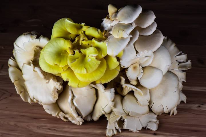 Sapiens Paleo Kitchen | restaurant | 10411 E McDowell Mountain Ranch Rd Ste 120, Scottsdale, AZ 85255, USA | 4807715123 OR +1 480-771-5123