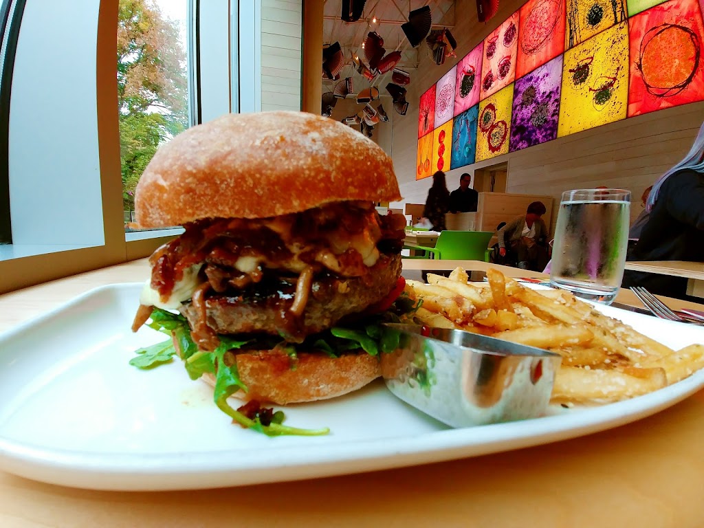 Collections Café | restaurant | 305 Harrison St, Seattle, WA 98109, USA | 2067534935 OR +1 206-753-4935