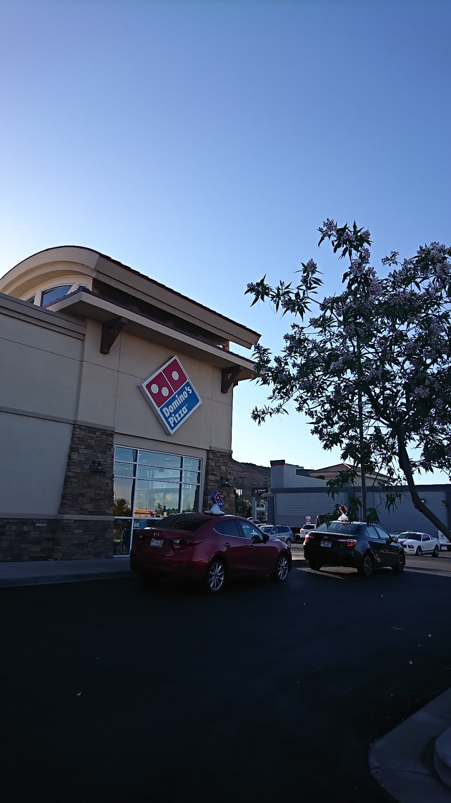 Dominos Pizza | meal delivery | 987 S Bluff St Ste G, St. George, UT 84770, USA | 4356282228 OR +1 435-628-2228