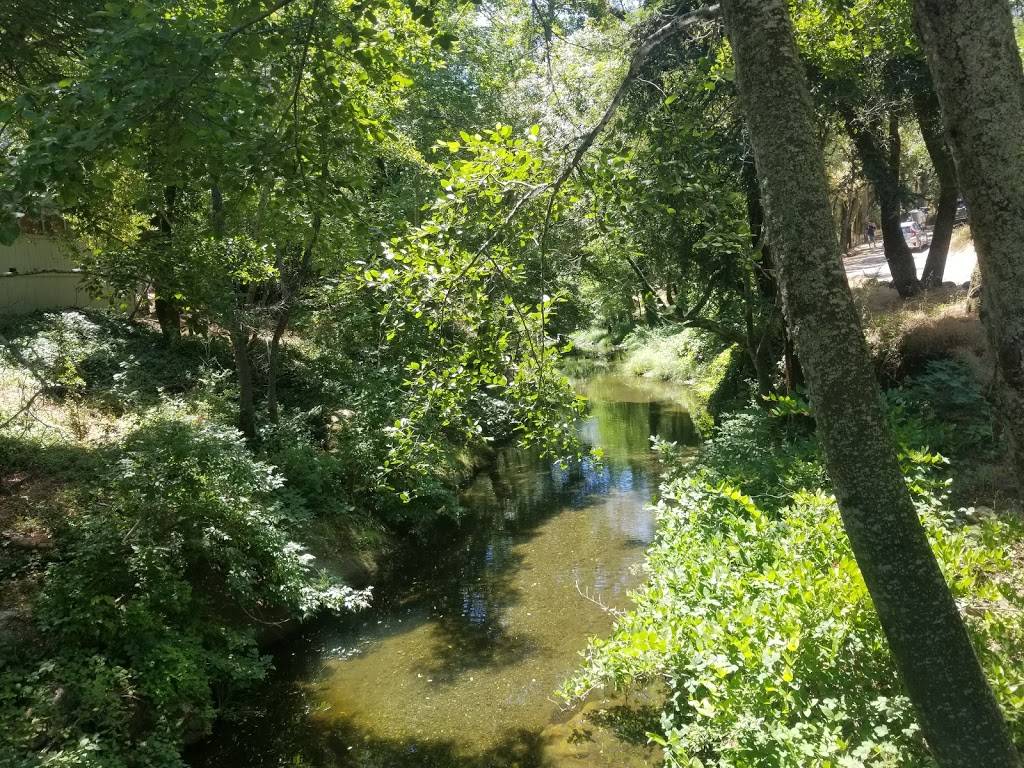 Mortons Warm Springs | cafe | 1651 Warm Springs Rd, Glen Ellen, CA 95442, USA | 7078335511 OR +1 707-833-5511