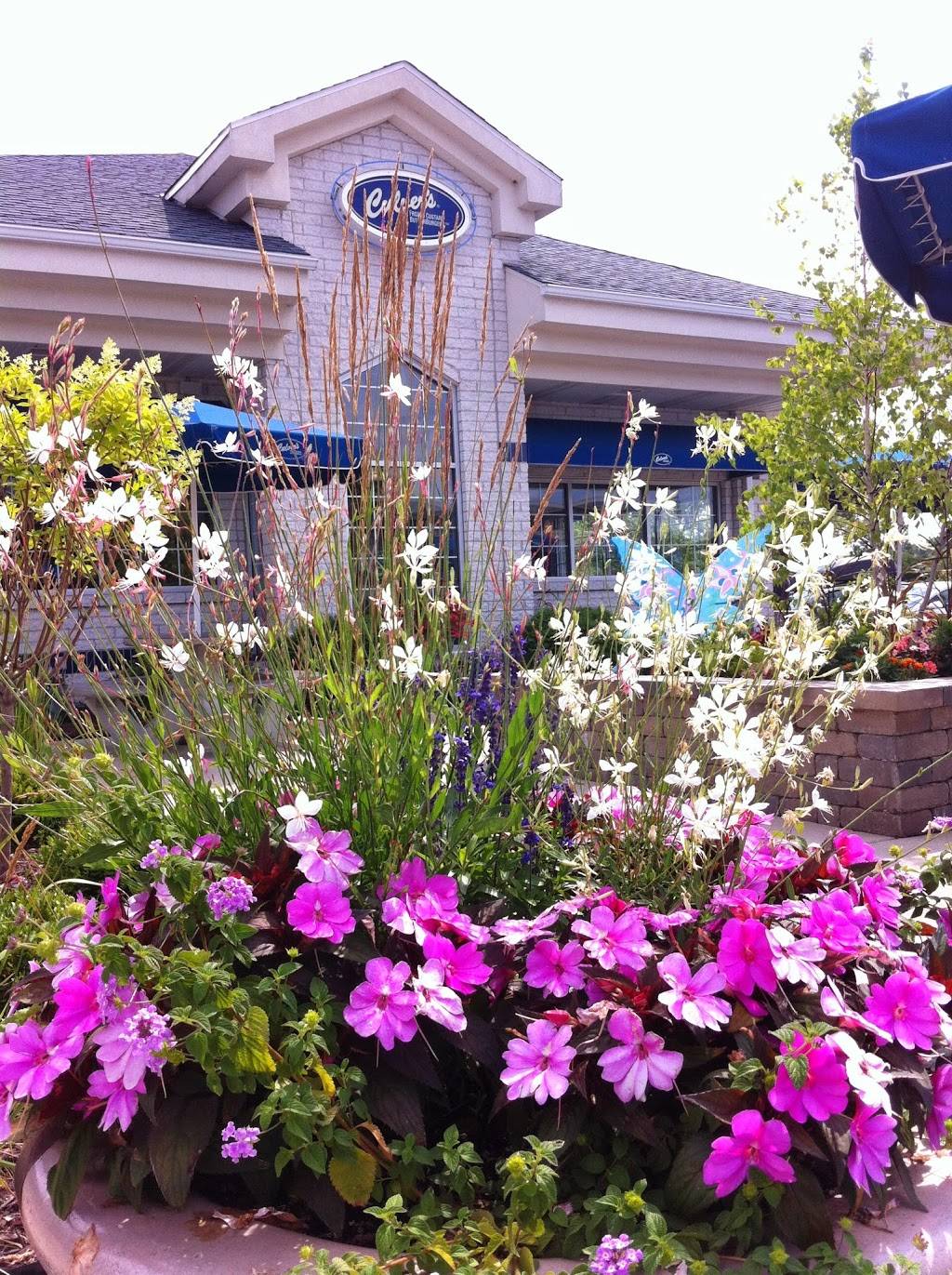 Culvers | restaurant | 1325 E Capitol Dr, Shorewood, WI 53211, USA | 4149624444 OR +1 414-962-4444