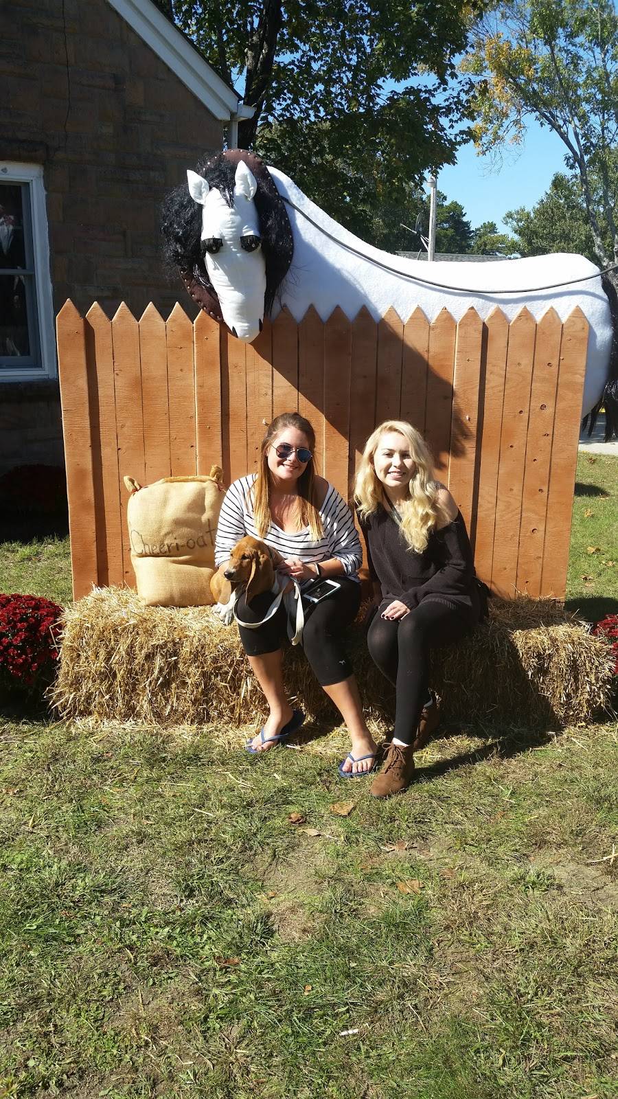 Hot Diggidy Dog | restaurant | 3970 Main St, Chatsworth, NJ 08019, USA | 6095193705 OR +1 609-519-3705