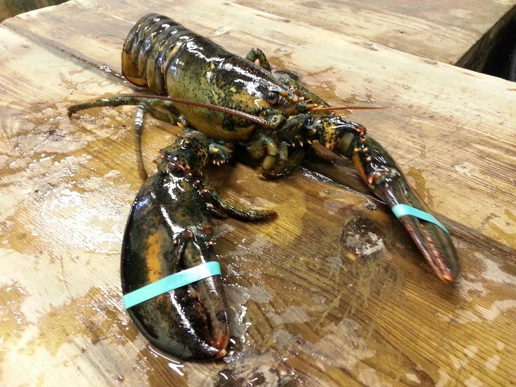 Simply Lobsters | restaurant | 1290 Lisbon St, Lewiston, ME 04240, USA | 8007963189 OR +1 800-796-3189