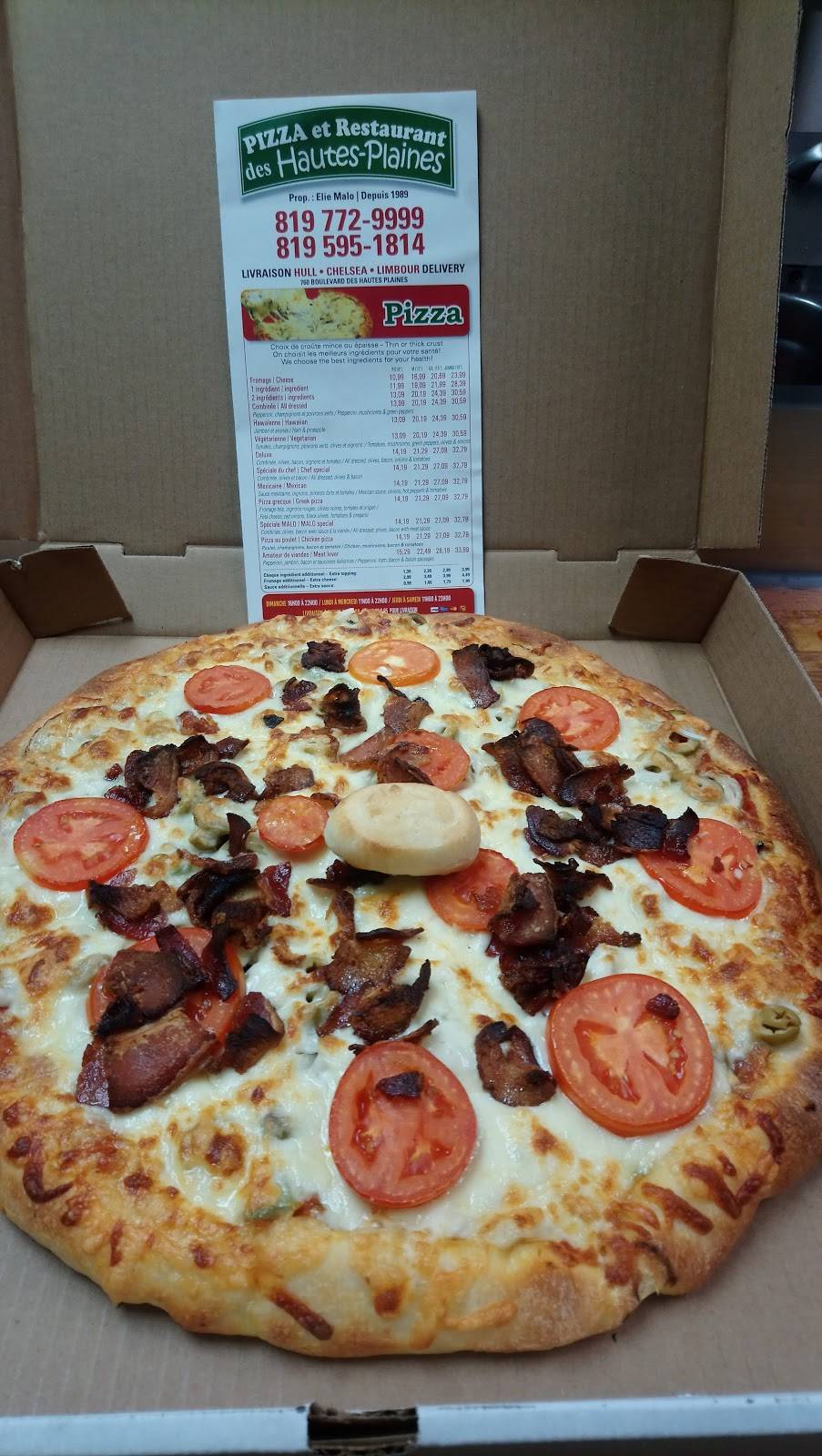 Pizza Des Hautes Plaines | restaurant | 760 Boulevard des Hautes-Plaines, Gatineau, QC J8Z 3N3, Canada | 8197729999 OR +1 819-772-9999
