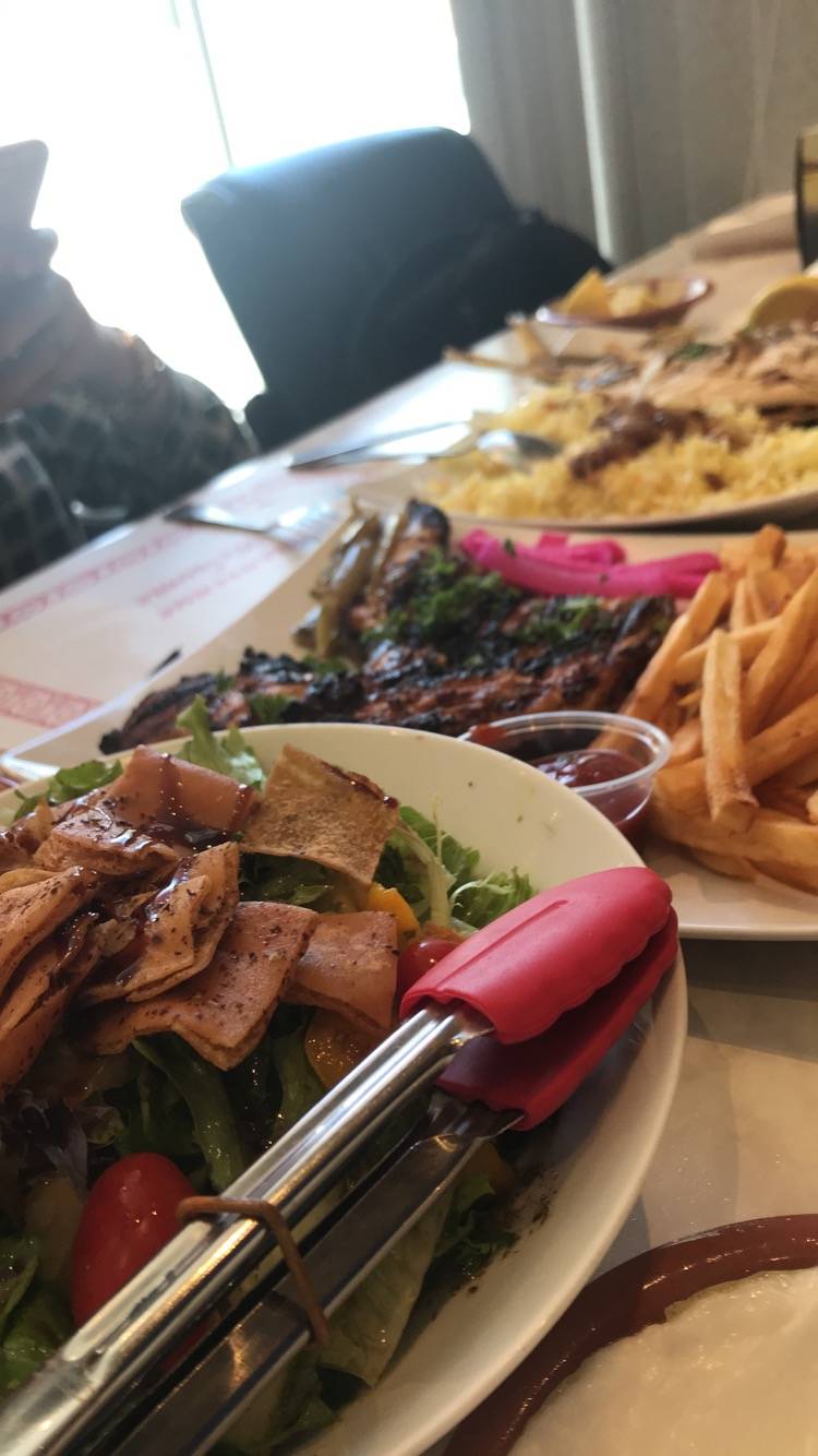 Ottawa Kabab | restaurant | 577 Gladstone Ave, Ottawa, ON K1R 5P2, Canada | 6135187434 OR +1 613-518-7434