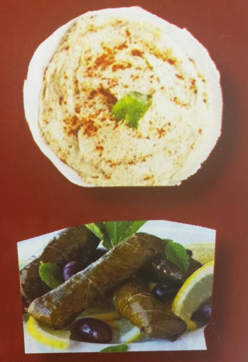 Chicago gyros | restaurant | 123 Ewing Dr, Nashville, TN 37207, USA | 6159647025 OR +1 615-964-7025