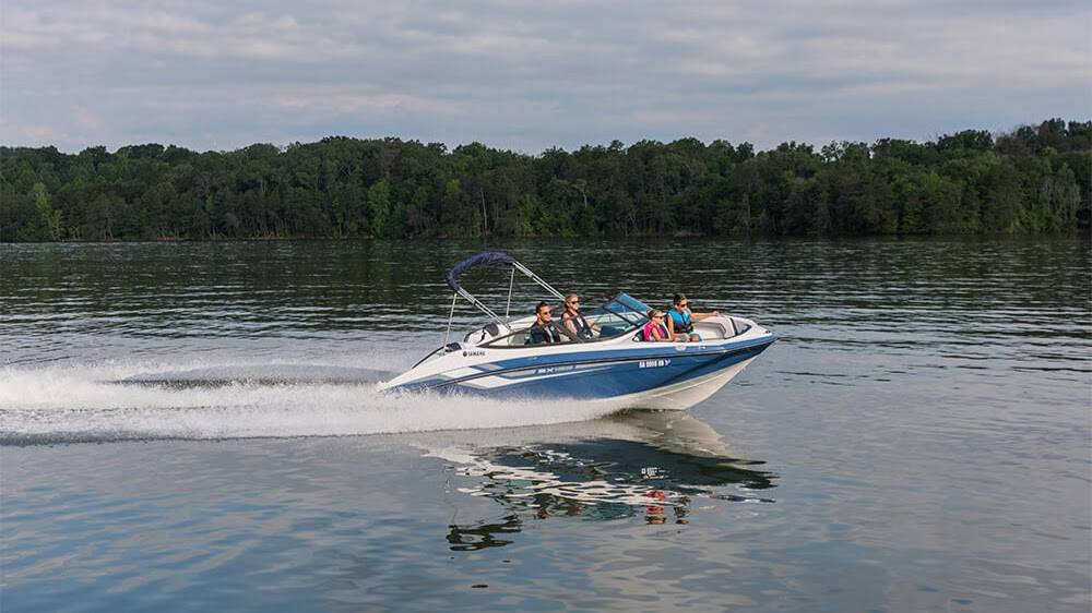 Boone Lake Marina | restaurant | 452 Sportsman Dock Rd, Piney Flats, TN 37686, USA | 4233917283 OR +1 423-391-7283