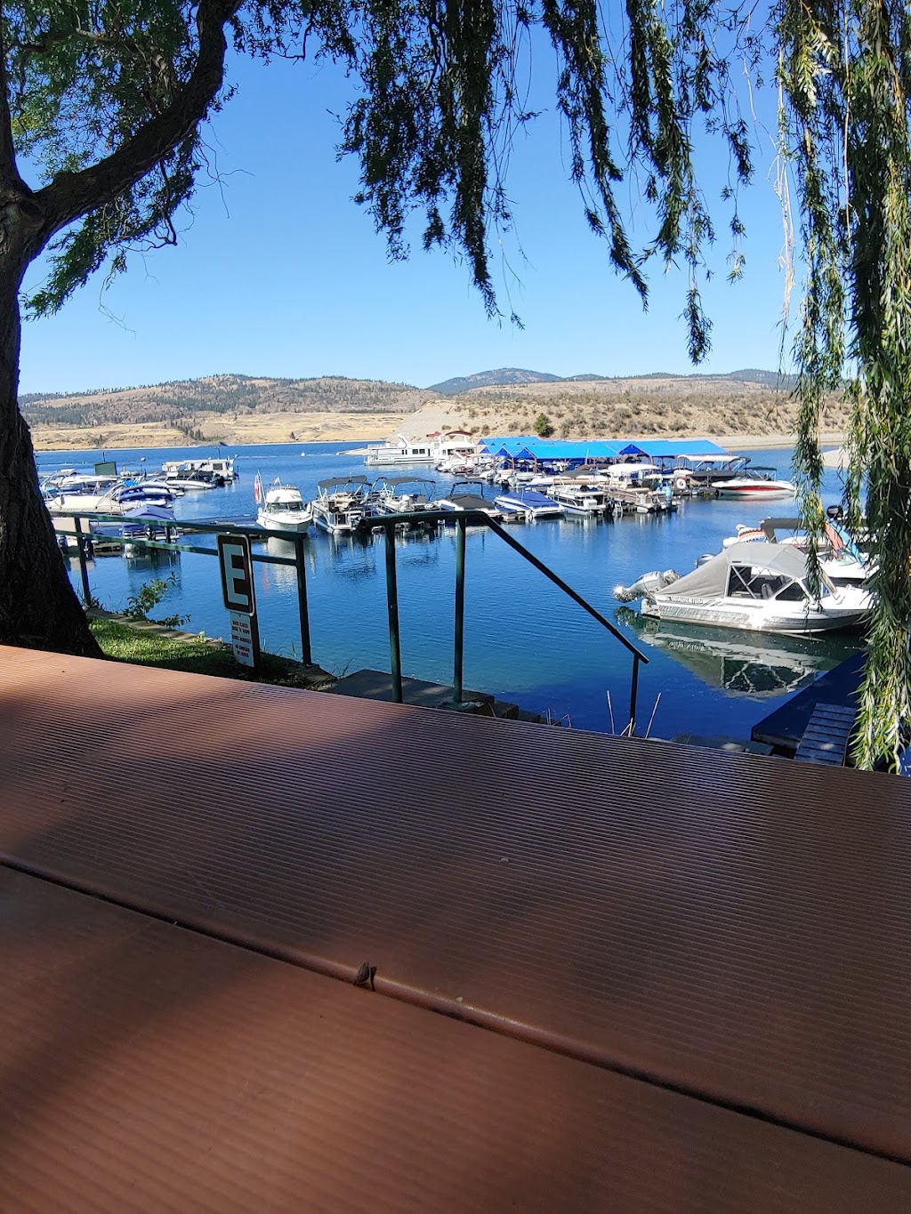 Lake Roosevelt Adventures at Seven Bays Marina | restaurant | 1250 Marina Dr, Davenport, WA 99122, USA | 5097257229 OR +1 509-725-7229