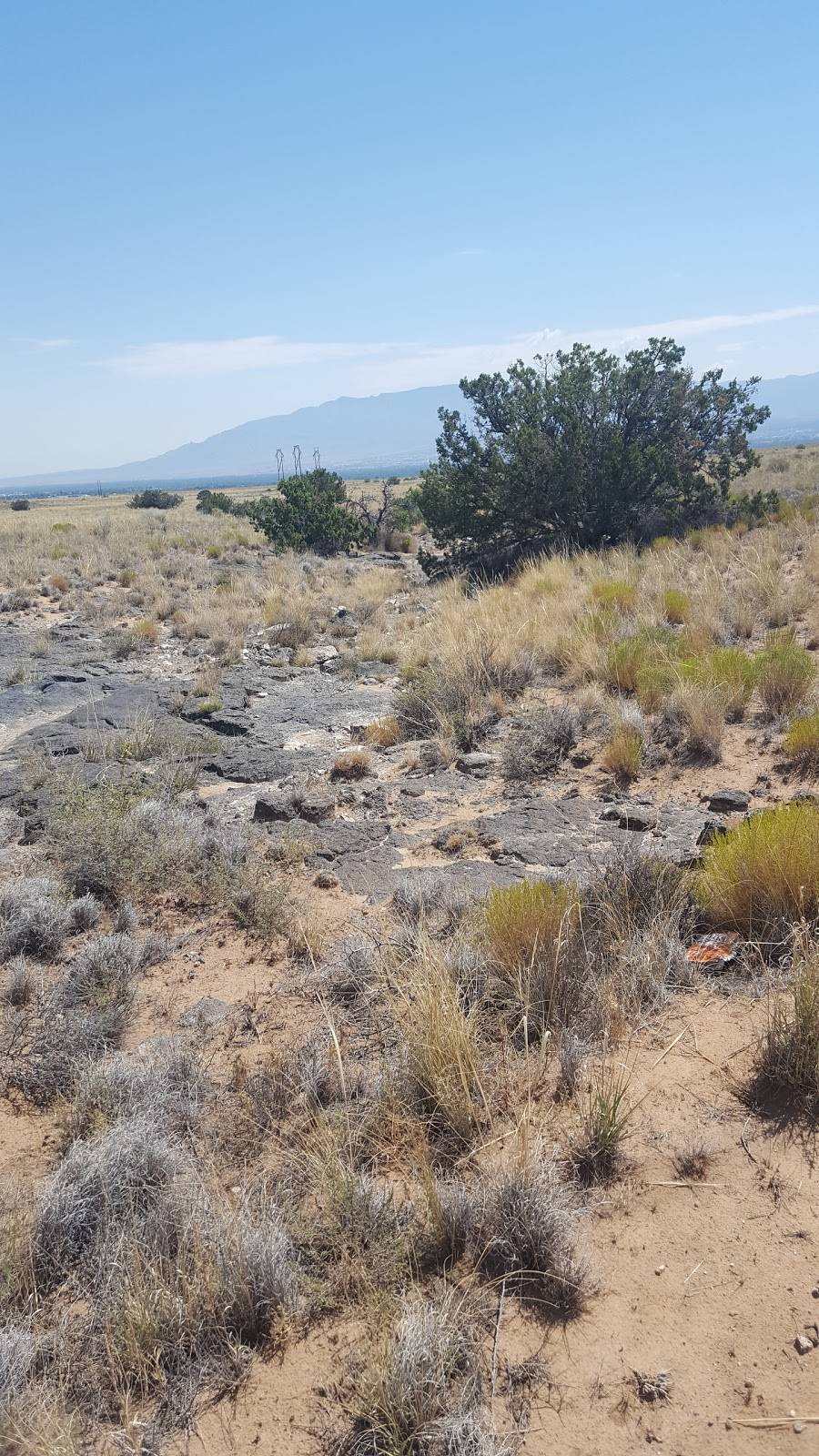 Dions | restaurant | 4200 Montaño Rd NW, Albuquerque, NM 87120, USA | 5058981161 OR +1 505-898-1161