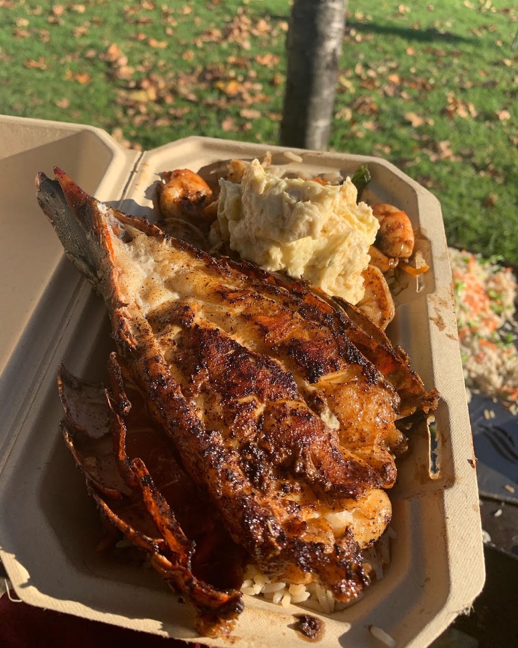 Sirhandsstreetfood | restaurant | 569 Grand Ave, Oakland, CA 94610, USA | 6504074885 OR +1 650-407-4885