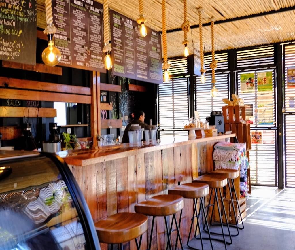 Gran Tierra Juice Bar | restaurant | Zona Centro, 22800 Ensenada, B.C., Mexico | 016469771964 OR +52 646 977 1964