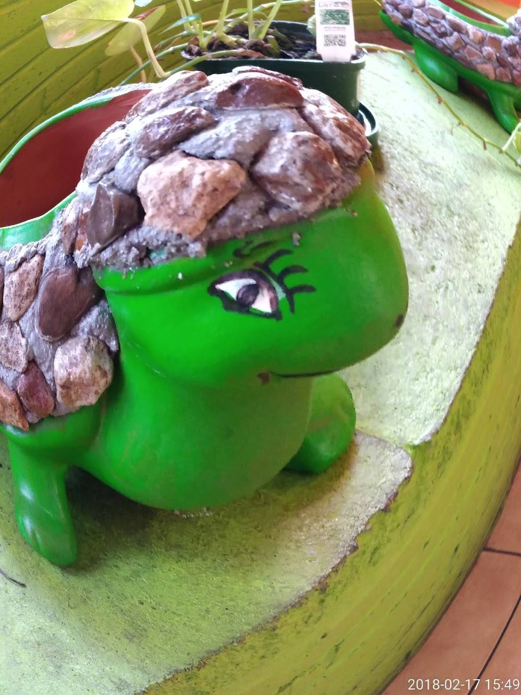 Yaris Taqueria | restaurant | 1913 S Edgefield Ave, Dallas, TX 75224, USA | 2149463748 OR +1 214-946-3748