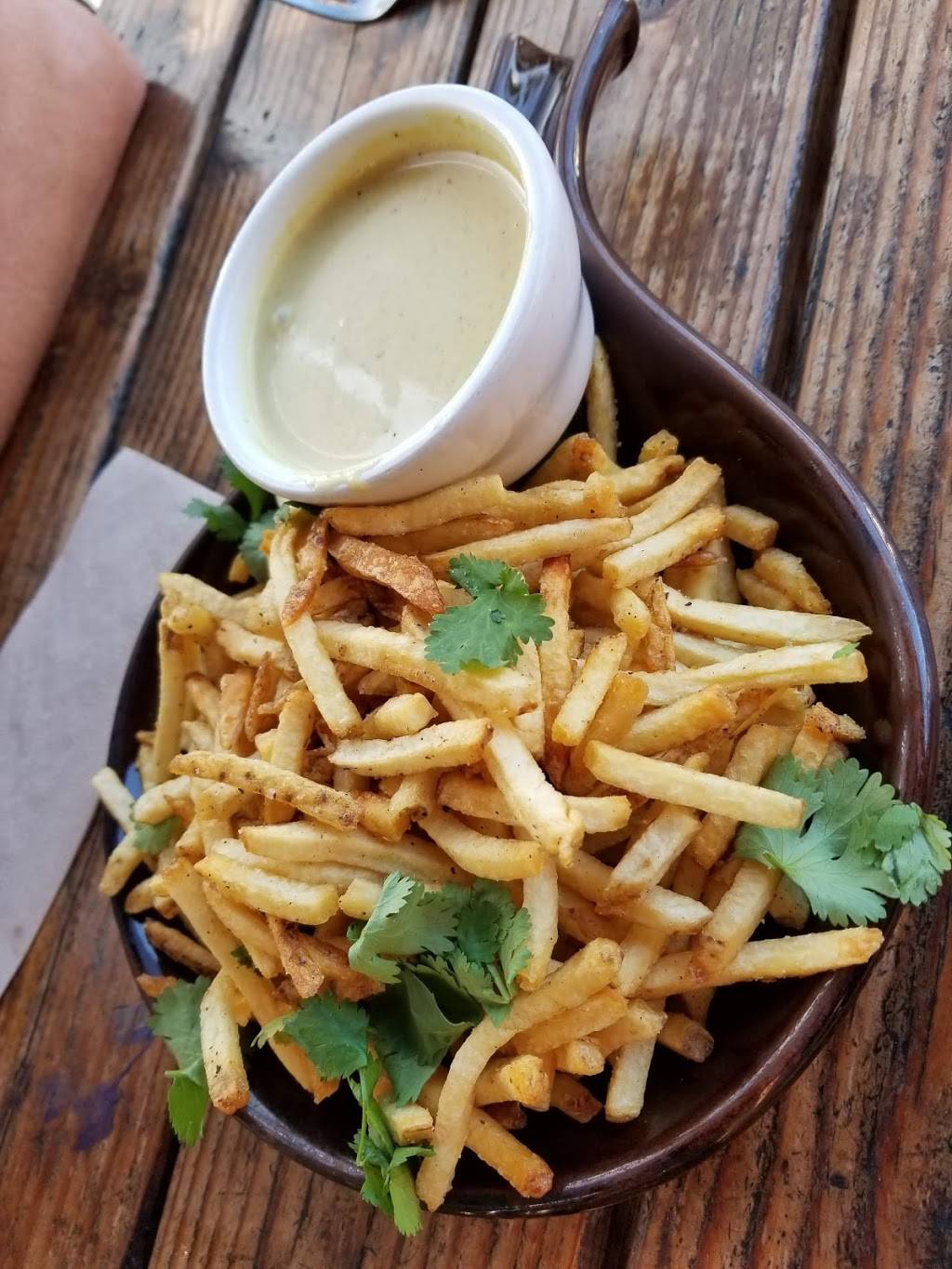 Tiger!Tiger! | restaurant | 3025 El Cajon Blvd, San Diego, CA 92104, USA | 6194870401 OR +1 619-487-0401