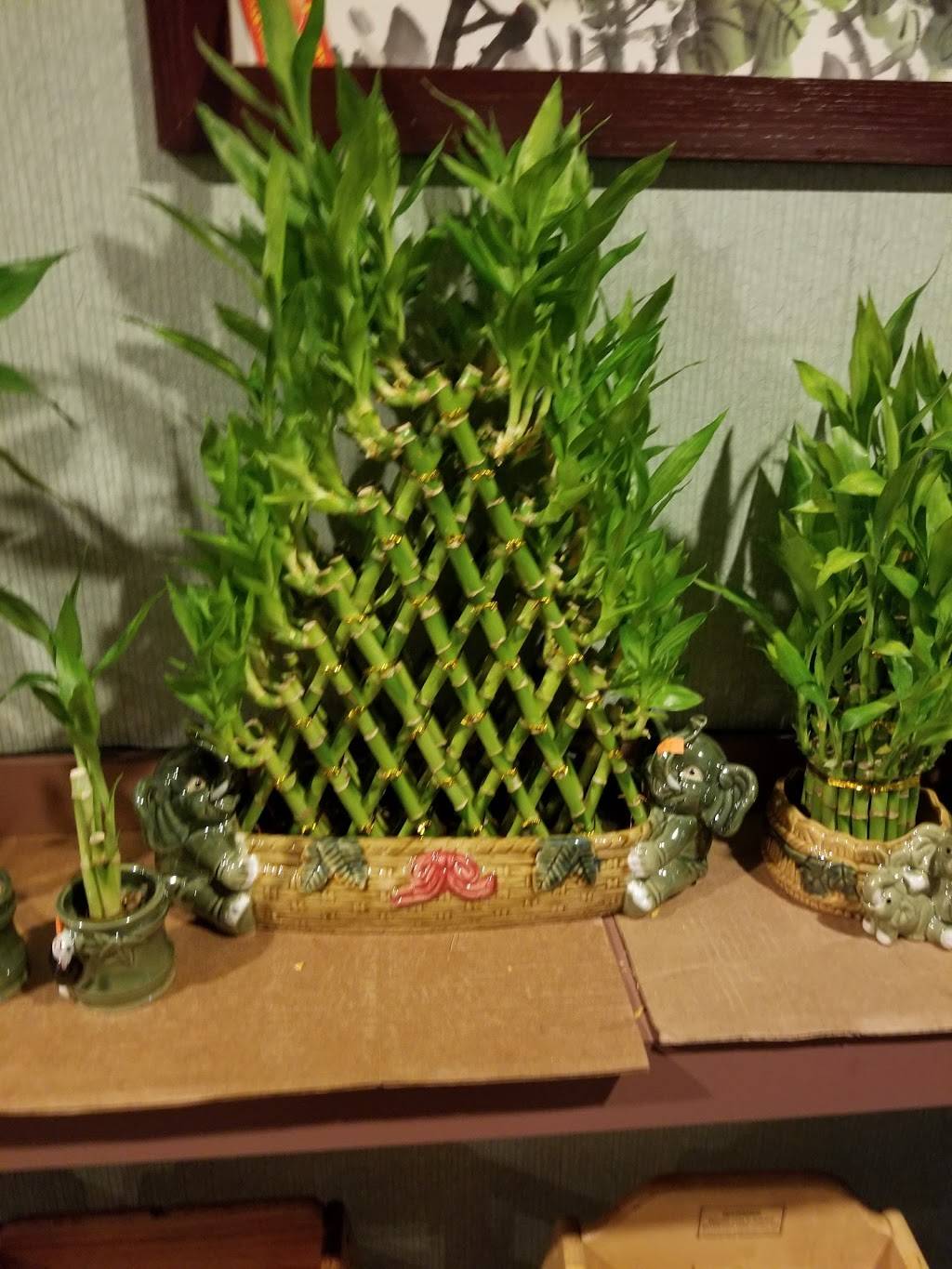 Dragon Light Restaurant | restaurant | 1809 N Larkin Ave, Crest Hill, IL 60403, USA | 8157251006 OR +1 815-725-1006