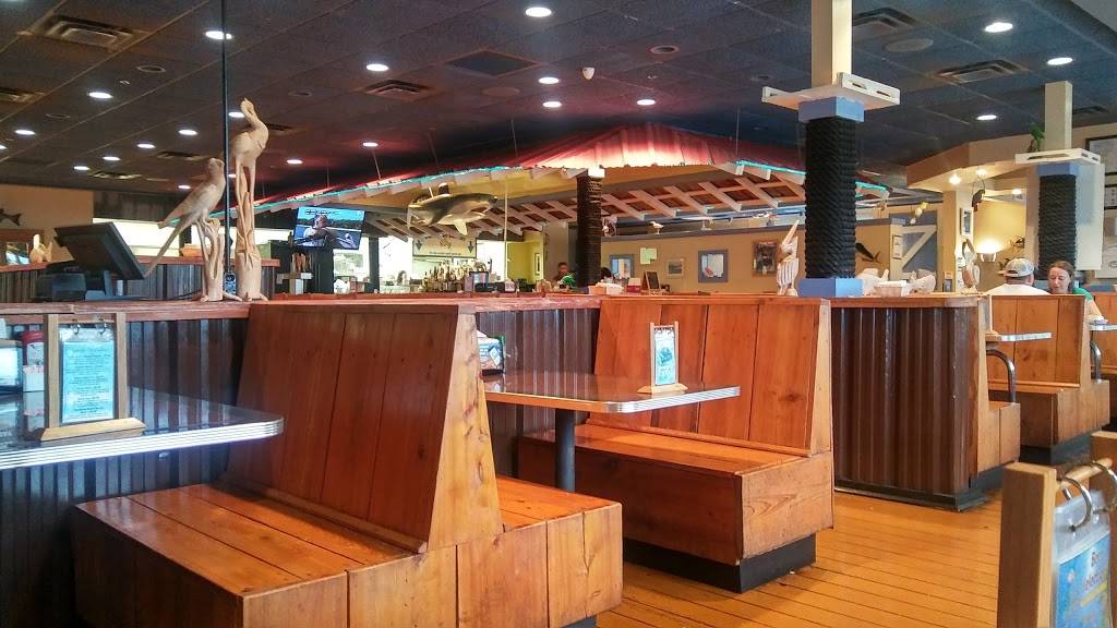 Shells Seafood Restaurant North Tampa | restaurant | 2101 E Fowler Ave, Tampa, FL 33612, USA | 8133042170 OR +1 813-304-2170