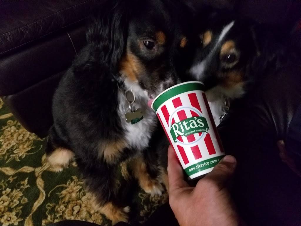 Ritas Italian Ice & Frozen Custard | restaurant | 887 Hempstead Turnpike, Franklin Square, NY 11010, USA | 5164553938 OR +1 516-455-3938
