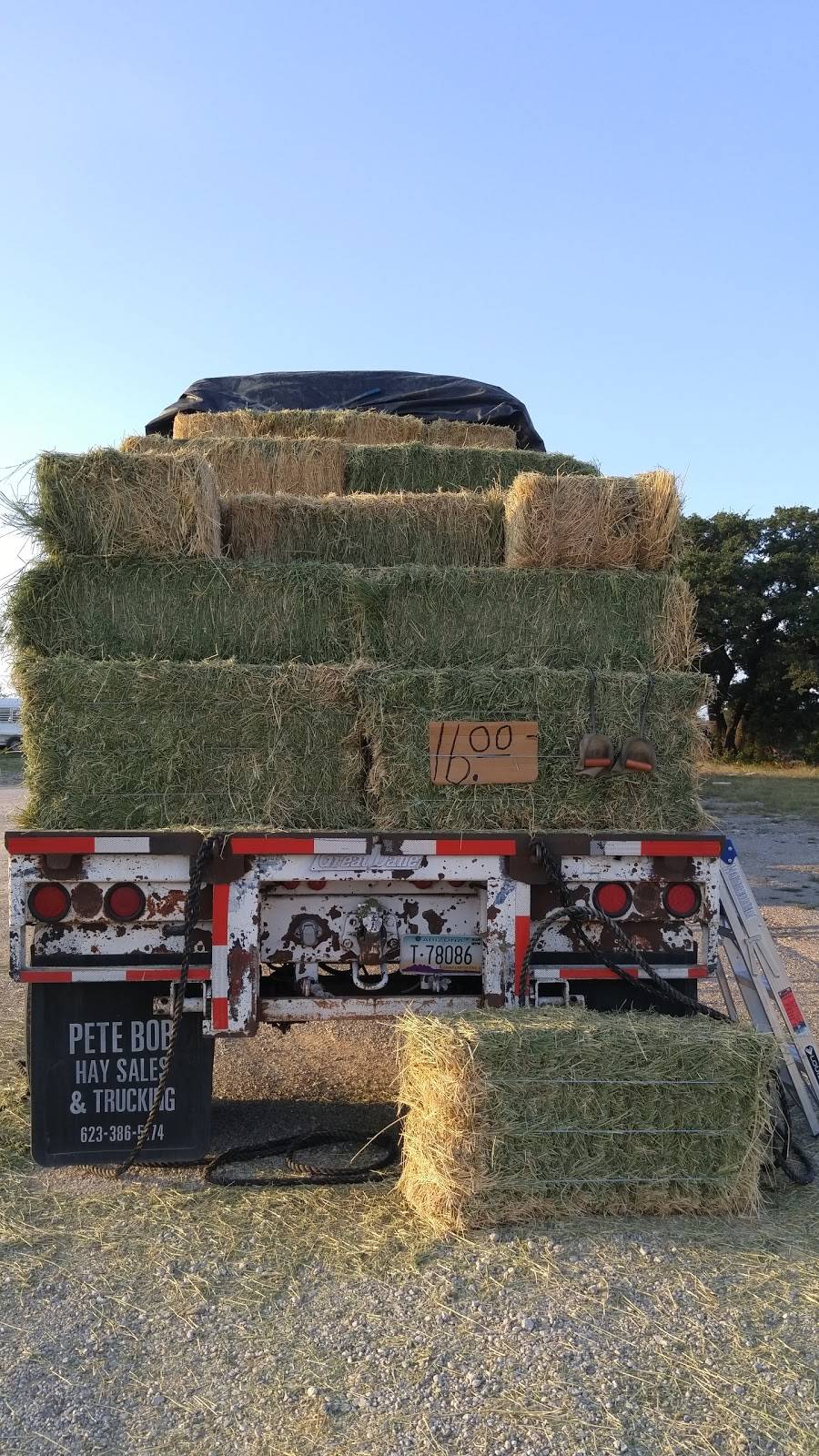 Grandma Bs Cafe | restaurant | 3581 US-281, Stephenville, TX 76401, USA | 2549680200 OR +1 254-968-0200