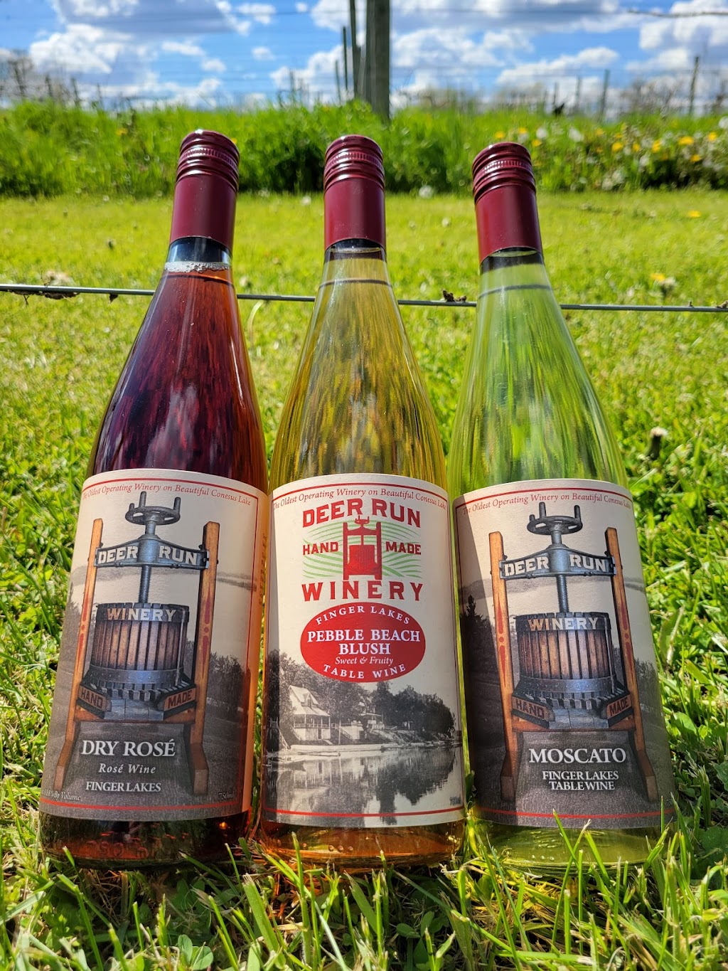 Deer Run Winery | cafe | 3772 W Lake Rd, Geneseo, NY 14454, USA | 5853460850 OR +1 585-346-0850