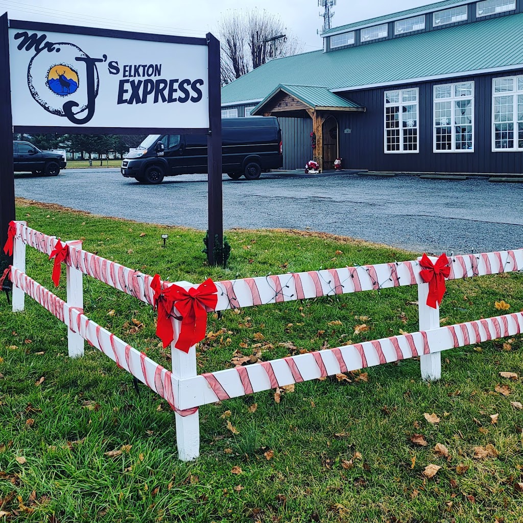 Mr. Js Elkton Express | cafe | 100 Shenandoah Ave, Elkton, VA 22827, USA | 5407138759 OR +1 540-713-8759