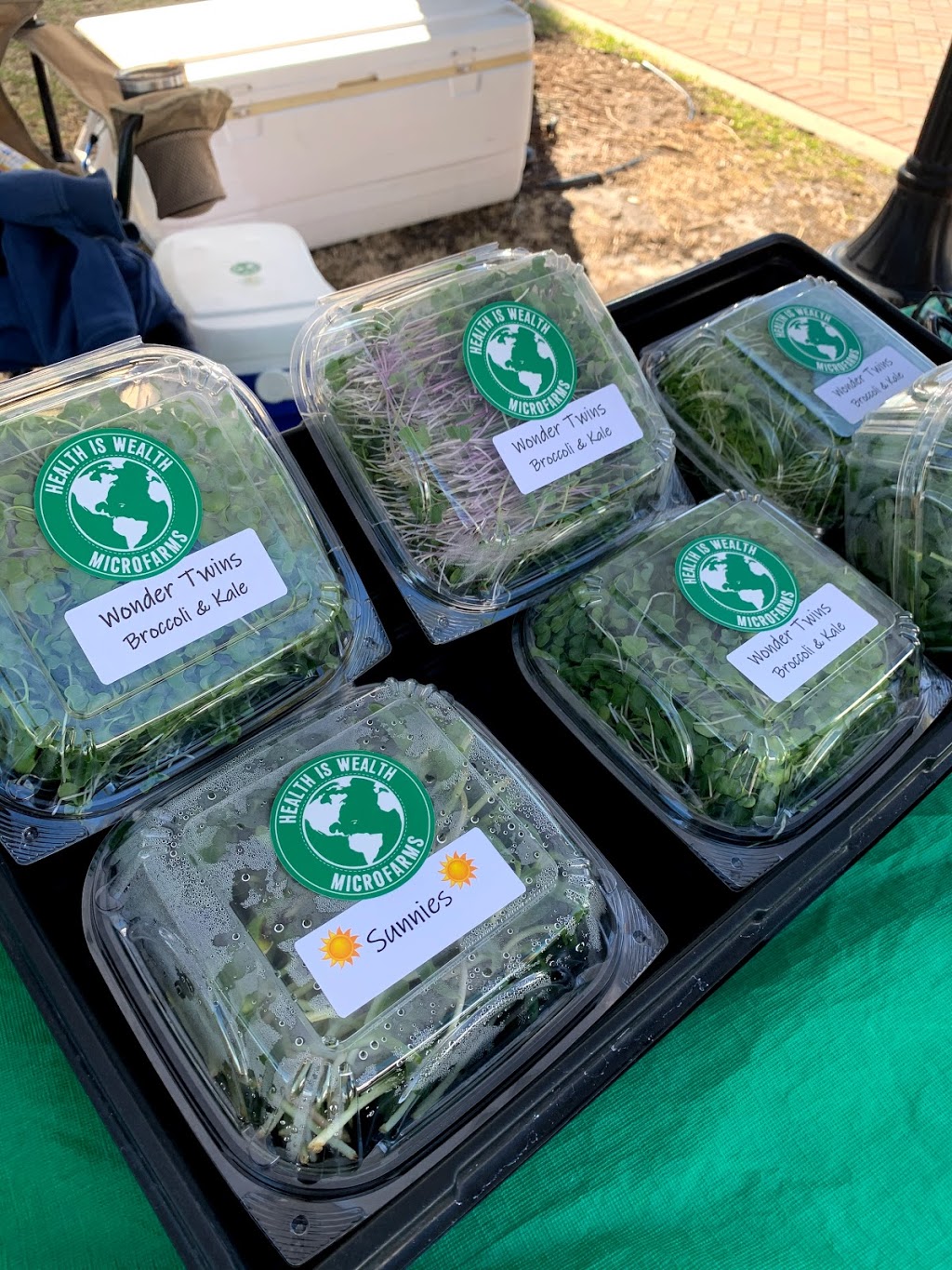 Wednesday Green Market | restaurant | 101 Melody Ln, Fort Pierce, FL 34950, USA | 7729718480 OR +1 772-971-8480