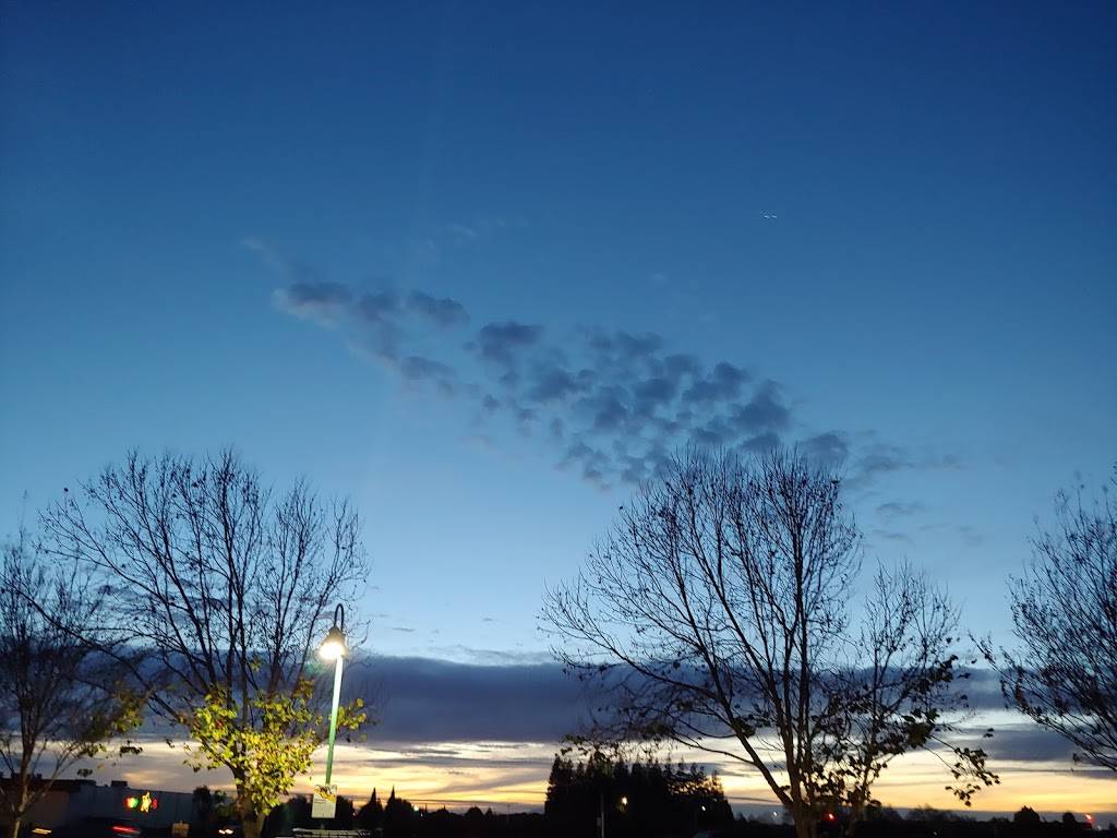 Starbucks | cafe | 23948 Hesperian Blvd, Hayward, CA 94541, USA | 5102939044 OR +1 510-293-9044