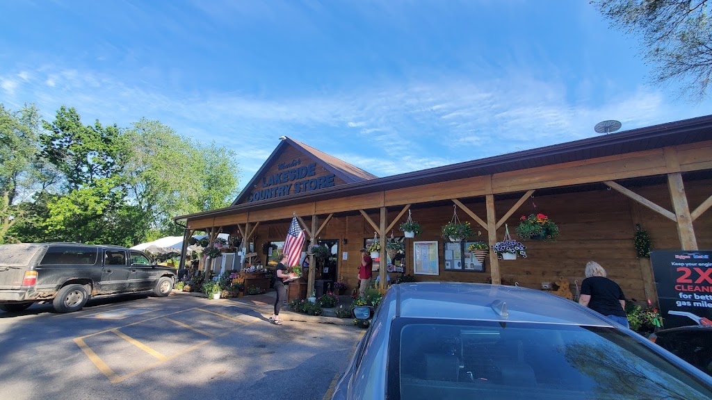 Charlies Lakeside Country Store | meal takeaway | E12965 WI-78 Trunk, Merrimac, WI 53561, USA | 6084932019 OR +1 608-493-2019