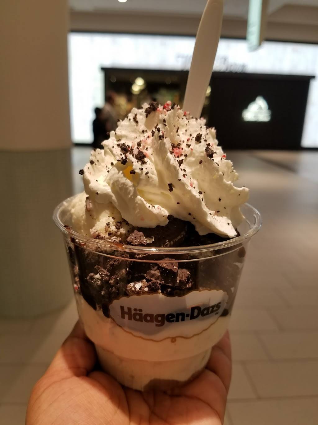 Häagen-Dazs | restaurant | 630 Old Country Rd, Garden City, NY 11530, USA | 5167423639 OR +1 516-742-3639