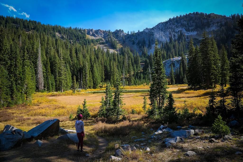 Brighton Resort | restaurant | 8302 S Brighton Loop Rd, Brighton, UT 84121, USA | 8015324731 OR +1 801-532-4731