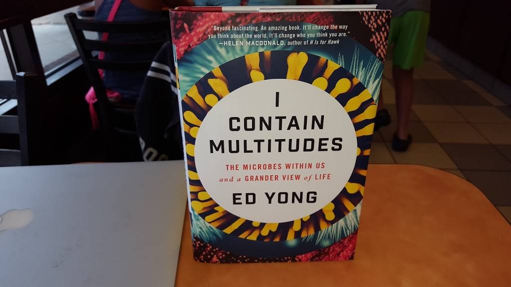 Dunkin | cafe | 1201 S Naper Blvd, Naperville, IL 60540, USA | 6303692272 OR +1 630-369-2272