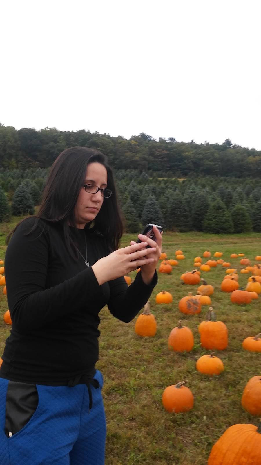 Pigout Roasting | restaurant | 1155 Strohls Valley Rd, Lehighton, PA 18235, USA | 6106816738 OR +1 610-681-6738