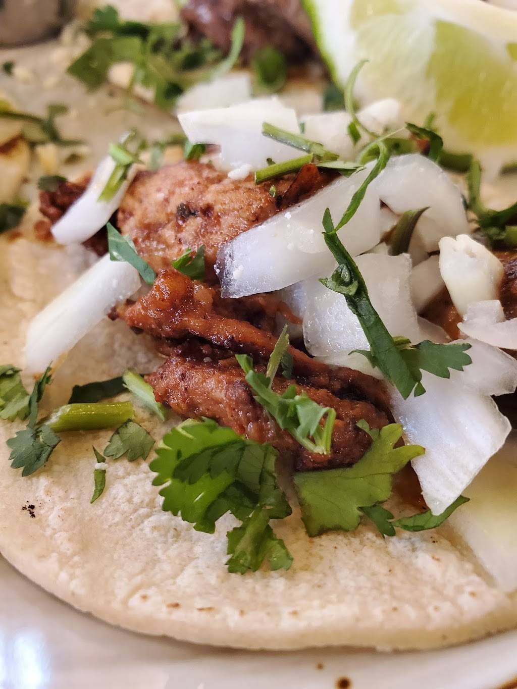 El Jefe Tequilas Taco Cantina | restaurant | 3227 Margaritaville Blvd, Kissimmee, FL 34747, USA | 3126560249 OR +1 312-656-0249