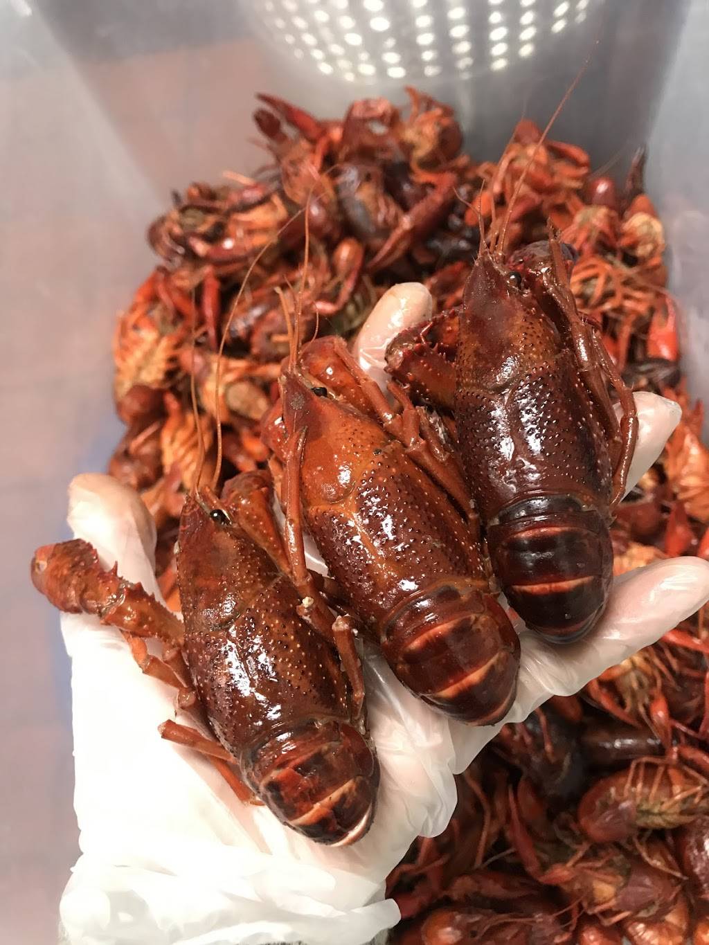 Fusion Kitchen | restaurant | 5101 Avenue H #68, Rosenberg, TX 77471, USA | 2817620946 OR +1 281-762-0946