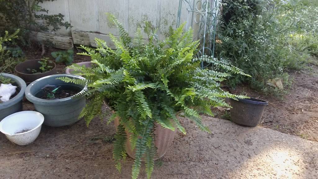 Old Hickory Country Club | restaurant | 1904 Old Hickory Blvd, Old Hickory, TN 37138, USA | 6158475055 OR +1 615-847-5055