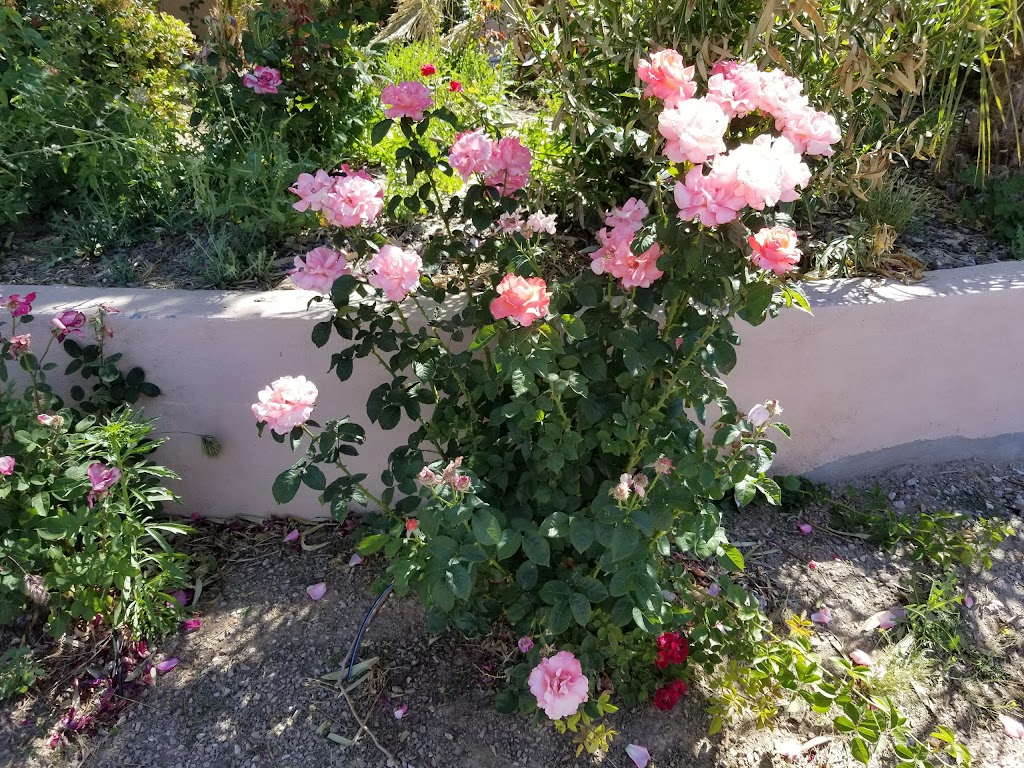 Nevada Treasure RV Resort | restaurant | 301 W Leslie St, Pahrump, NV 89060, USA | 7757511174 OR +1 775-751-1174