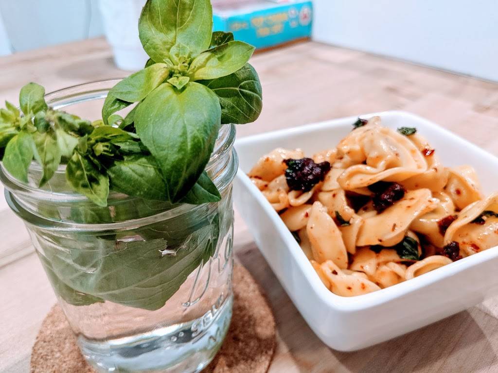 Modern Brew - Coffee, Restaurant and Bar | restaurant | 8221 S Holly St, Centennial, CO 80122, USA | 7203360990 OR +1 720-336-0990