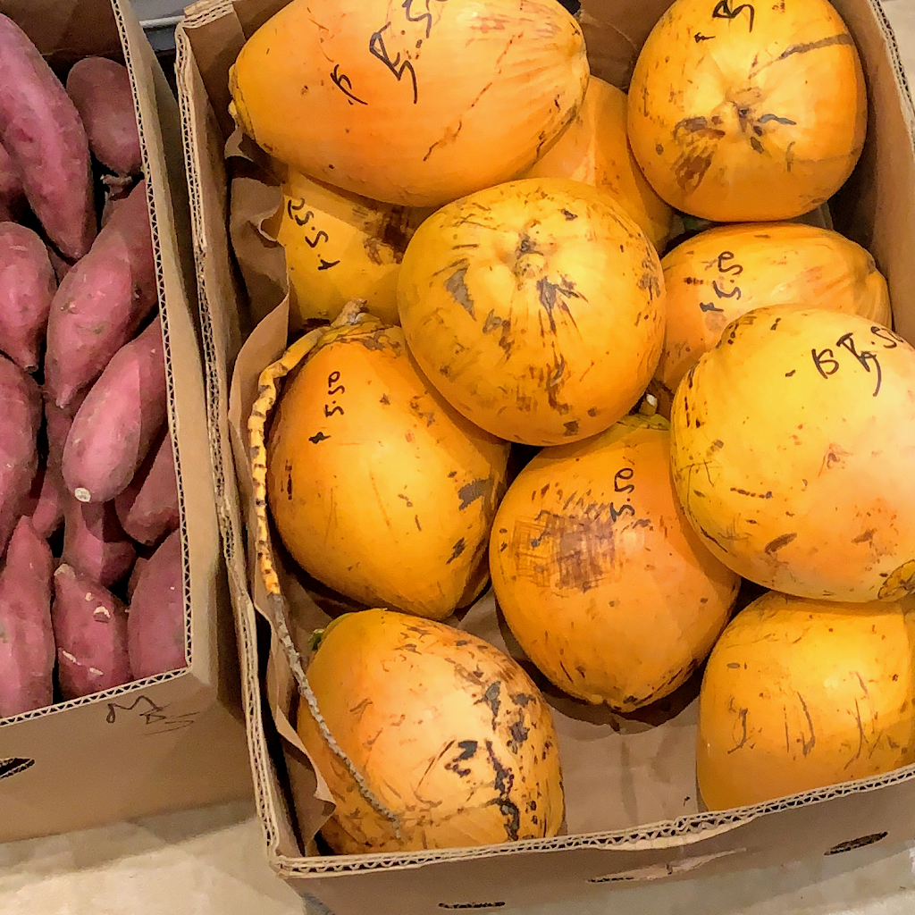 NEW YORK LANKA INC. | restaurant | 313 Victory Blvd, Staten Island, NY 10301, USA | 7185248124 OR +1 718-524-8124