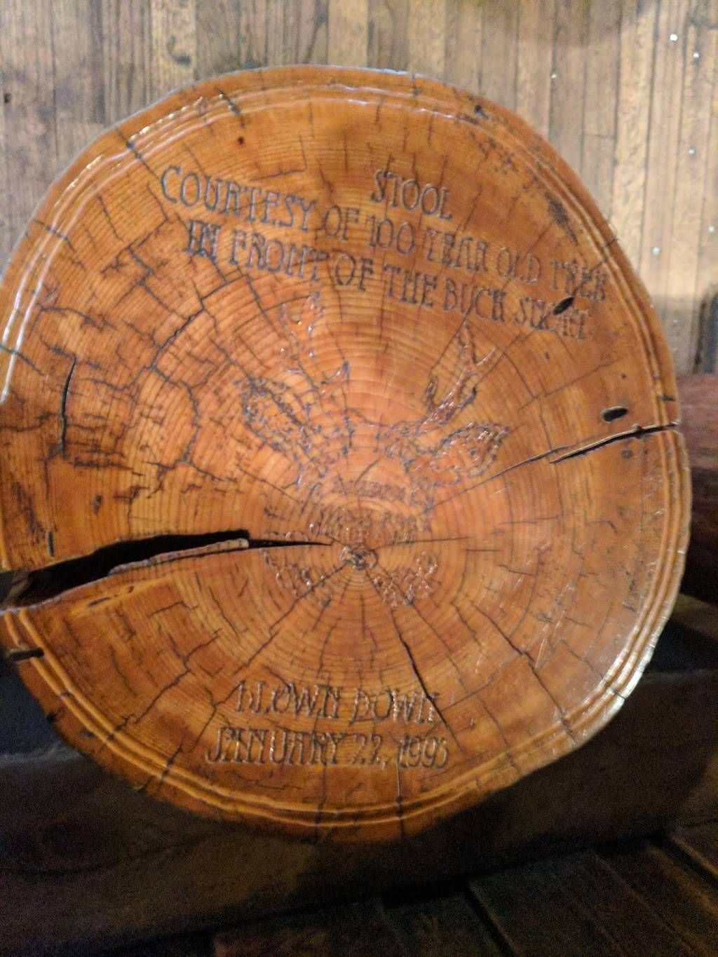 Buck Snort Saloon | restaurant | 15921 S Elk Creek Rd, Pine, CO 80470, USA | 3038380284 OR +1 303-838-0284