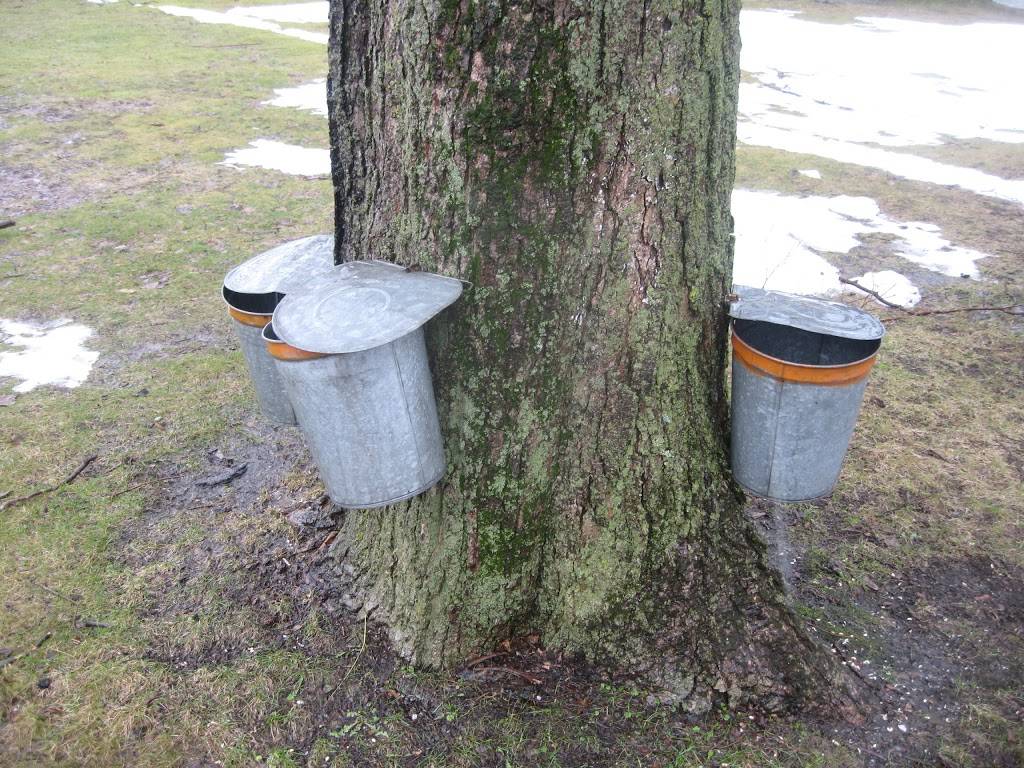 Inn at West View Farm | restaurant | 2928 VT-30, Dorset, VT 05251, USA | 8028675715 OR +1 802-867-5715