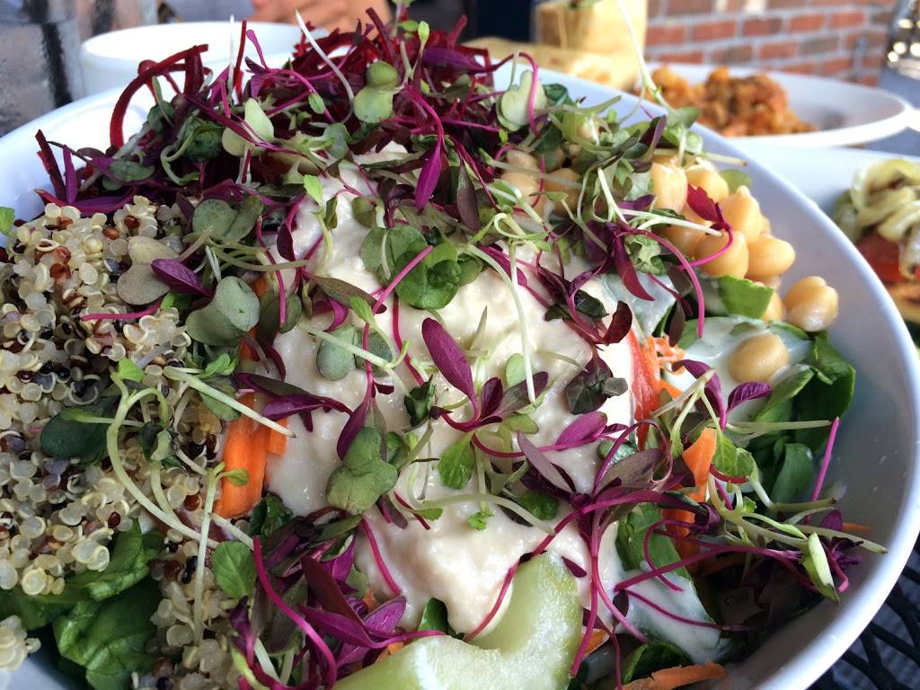 The Steer Restaurant & Saloon | restaurant | 3151 Main St, Buffalo, NY 14214, USA | 7168380478 OR +1 716-838-0478