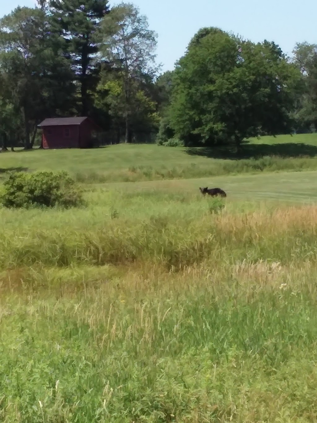 Riverside Golf | restaurant | 24527 US-6, Cambridge Springs, PA 16403, USA | 8143984537 OR +1 814-398-4537