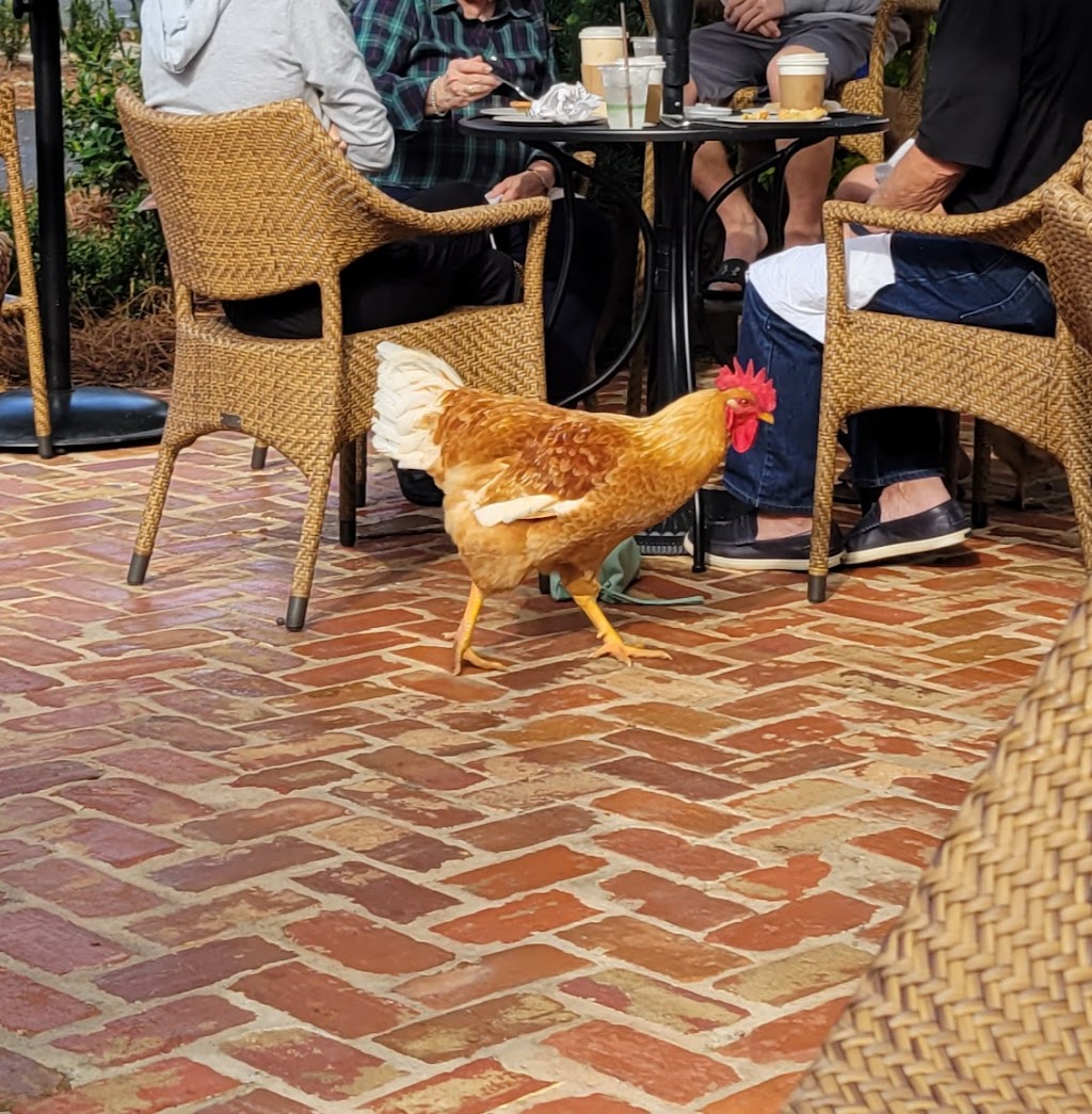 Botanic | restaurant | 1702 Frederick Rd, Opelika, AL 36801, USA | 3347489082 OR +1 334-748-9082