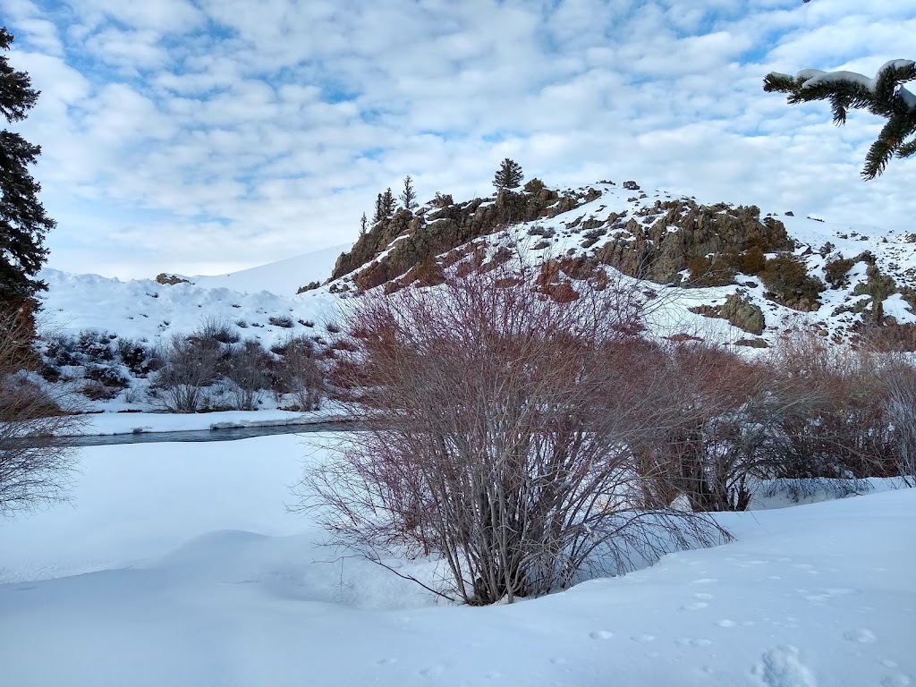 Almont Resort & Restaurant | restaurant | 10209 CO-135, Almont, CO 81210, USA | 9706414009 OR +1 970-641-4009