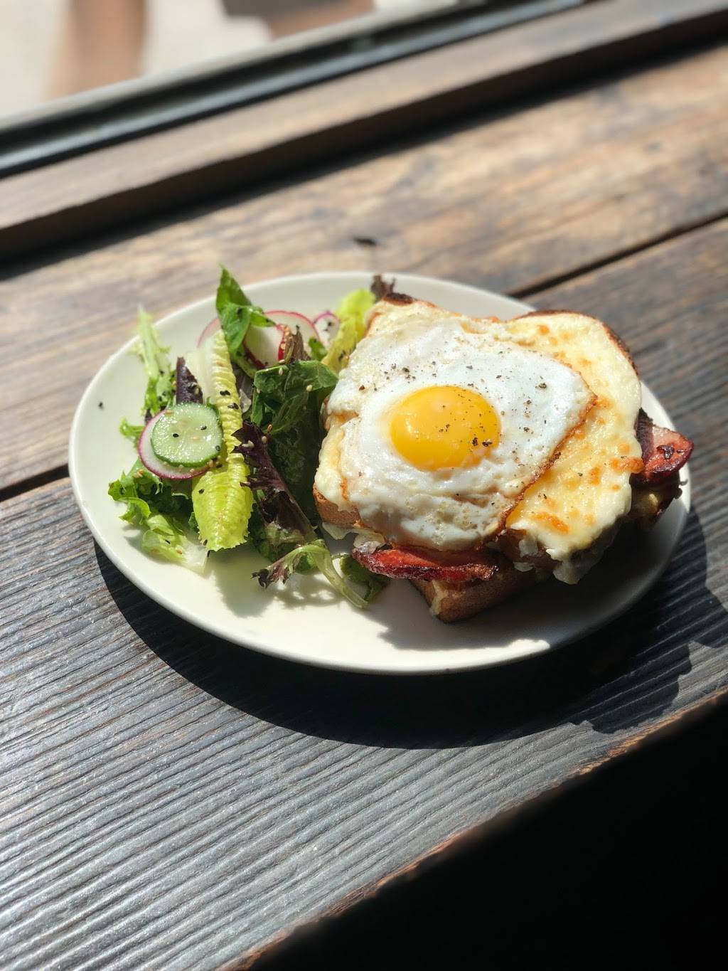 Hard Times Christmas Liquors at the Sunset Bar | restaurant | 445 Troutman St, Brooklyn, NY 11237, USA | 9179661666 OR +1 917-966-1666