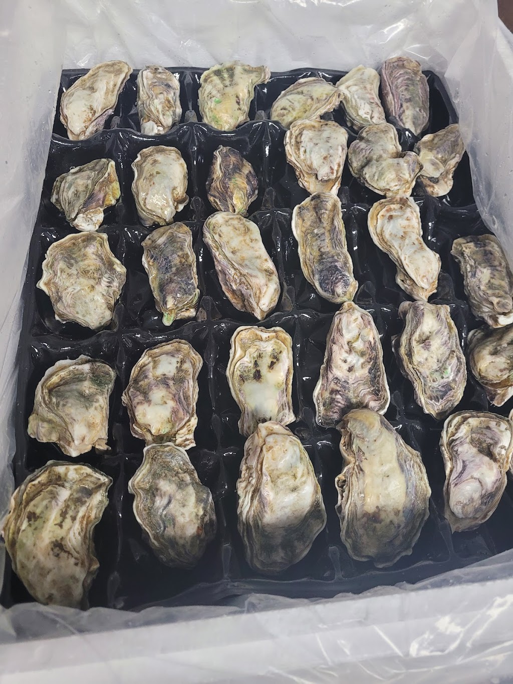 Citrus Valley Seafood Co. | restaurant | 110 W Harvard Blvd Unit I, Santa Paula, CA 93060, USA | 8057464762 OR +1 805-746-4762